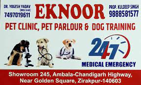 Maybe you would like to learn more about one of these? Eknoor Pet Clinic Pet Parlour Zirakpur Ho Pet Clinics In Zirakpur Chandigarh Justdial