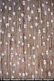 Image result for Staudtia