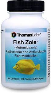 Thomas Labs Fish Zole Metronidazole Antibacterial Fish Medication 100 Count Chewy Com This Is Outrageously Expens Fish Antibiotics Antibiotic Antibacterial