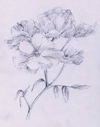 Dengan memakai aplikasi tersebut kita bisa membuat gambar keren apapun dengan mudah. Harumnya Bunga Mawar Belajar Menggambar