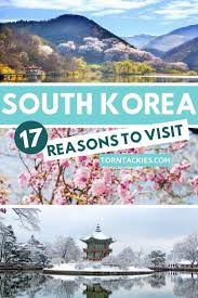 17 Things I Love About Living In South Korea The Pros Torn Tackies Travel Blog Travel Destinations Asia Korea Travel Seoul Korea Travel