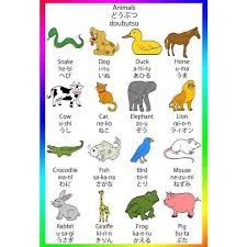 Colour And Animals Name Damak Kantipur Educational Foundation Facebook