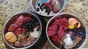 Dieta Barf Para Perros Dog Snutrition Raw Dog Food Recipes Raw Dog Food Diet Dog Raw Diet