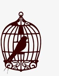 Parrot in cage coloring page. Report Abuse Bird Cage Coloring Page Transparent Png 1024x1271 Free Download On Nicepng