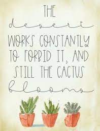Still The Cactus Blooms Quote In 2021 Bloom Quotes Cactus Quotes Desert Quote