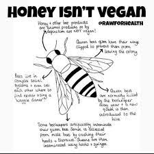 Dr Joel Kahn America S Healthy Heart Doc Fellow Vegans Do You Say Yes To Honey Beegan Or No To Honey Tonight We Will Dip Apples In Non Bee Honey You Honey