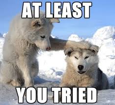 Escape to your happy place: Good Job Cute Animal Meme