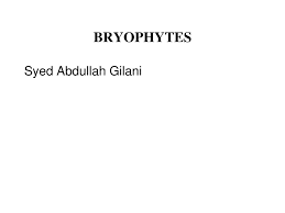 BRYOPHYTES Syed Abdullah Gilani.