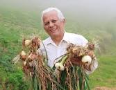 Aporrea - artículos de Alirio Rangel Díaz