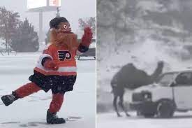 From living paradox by along came paully. Snowstorm Recap Wandering Camel Happy Gritty Travel Woes