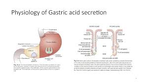 Image result for Potassium Competitive Acid Blocker