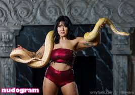 Charli Evans  charlievans  charlievanspro Nude Leaks OnlyFans Photo 102  - v2.1 | dvir.ru