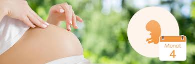 Auch ab wann die schwangerschaftssymptome auftreten, ist bei jeder frau unterschiedlich. 4 Monat Schwanger Alles Uber 4 Schwangerschaftsmonat Hipp