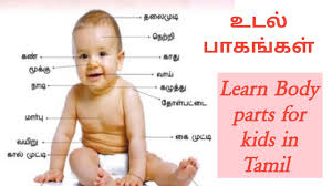 Middle tamil is attested in a large number of inscriptions, and in a significant body of secular and religious literature.55 these include the religious poems and songs of the. Learn Body Parts For Kids In Tamil Youtube