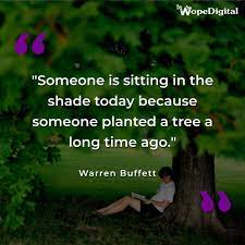 Wopedigital On Twitter Someone Is Sitting In The Shade Today Because Someone Planted A Tree A Long Time Ago Warren Buffett Quotes Https T Co Fliryf9okg Twitter