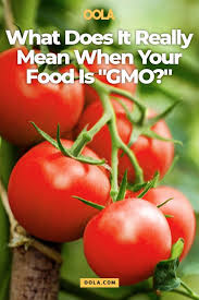 Check spelling or type a new query. What Does It Really Mean When Your Food Is Gmo Food Gmo Gmo Foods