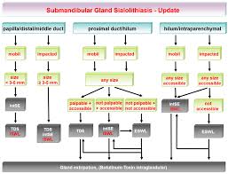 Image result for Sialolithiasis