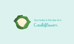 Convert the nth day of the year to a date (mm/dd/yyyy) calculator. 27 Weeks Pregnant Symptoms And Baby Development Pampers