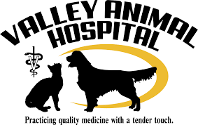Part of my pet's vet mission is to support local rescues. Home Veterinarian In Thief River Falls Mn Valley Animal Hospital Llc