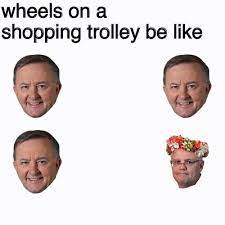 Friendlyjordies/ awesome meme from @spencertoons on twitter everyone go give the legends over at epic_auspol_memes a follow: Pretty Standard Comparative Meme Still Hope It S Alright Bruz Friendlyjordies