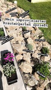 Das Etwas Andere Krauterbeet An Unserem Kleinen Steilhang Zum Wintergarten Die Krauter Fuhlen Sich Sehr Wohl Und Wachs Garten Krauterbeet Garten Neu Gestalten