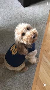 Betsy Caffrey (@BetsCaff3)