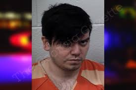 Larry Molina — Paulding County Jail Bookings