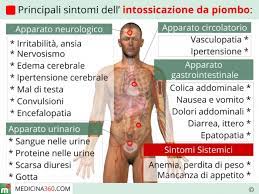 5 come alleviare sintomi e dolori. Intossicazione Da Piombo Sintomi Diagnosi Cura E Rimedi Naturali