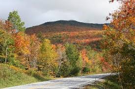 Landscape scenery pictures, images and stock photos. Great Scenery Picture Of Trevin Farms Sudbury Tripadvisor