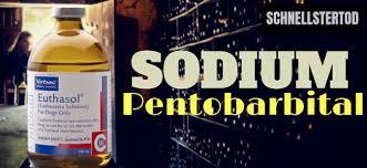 Nembutal Pentobarbital Gunstig Bestellen Schnellster Tod