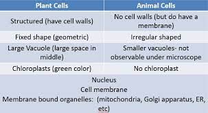 Maybe you would like to learn more about one of these? Cell Structure Ms Noller S Classroom Engage Minds Teach Children Learn Science