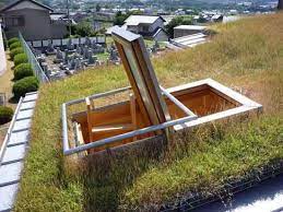 草屋根 芝屋根 の住宅 ドキュメント集 住宅 屋根 住宅 外観