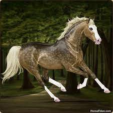 We did not find results for: Horse Eden Online Horse Game