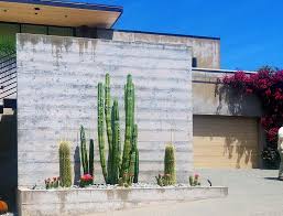 Cereus, golden barrel, parodia, hedgehogs, mammillarias native to the sonoran desert of southwestern usa and sonora state in mexico. Cactus Archives Cactus Jungle