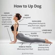 How To Up Dog Yoga Help How To Do Yoga Yoga Moves