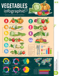 Healthy Vegetables And Vitamins Infographics Stock Vector