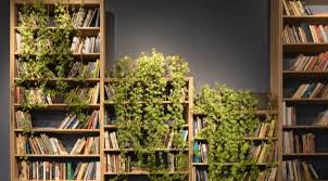 We did not find results for: How To Get Rid Of House Plant Pests Planet Houseplant