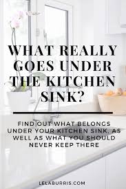 what really goes under the kitchen sink