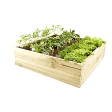 The choices are limited only by your creativity. Lotus Treated Pine Raised Timber Garden Bed Bunnings Warehouse Pine Garden Raised Garden Garden Bed Kits