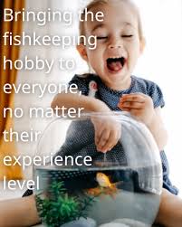 Amazon.com : CORISRX Aquarium Sponge Filter Luxury Set for Breeding Fry,  Fish Tank Fine Small Sponge Filter up to 10 Gallon, Fish Tank Mini Bio Foam  Filter for Betta Shrimp (5X Mini