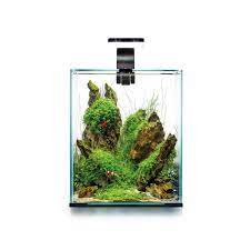 Whether you set up a planted aquarium or saltwater aquascape, your aquarium will come to life! Nano Aquarium Shrimp Set Smart 30l Weiss Aquascape