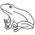 Sketch the base head and body shapes. How To Draw A Frog Face