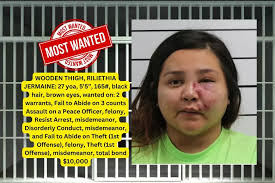 Experience The Thrills At Tri County Showdown: MMA Fights & More!