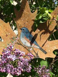 kus birds yaprak leaf art painting watercolor