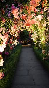 Pretty manicured flower garden with colorful azaleas. Secret Garden Pictures Download Free Images On Unsplash
