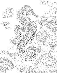 Pin On Coloring Under The Sea