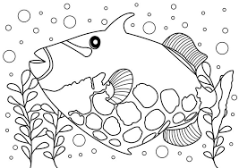 Creative fabrica is created in amsterdam, one of the most inspirational cities in the world. Trigger Fish Coloring Page Clyde C Drawings Illustration Animals Birds Fish Aquatic Life Fish Saltwater Fish Artpal
