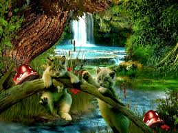 Https Encrypted Tbn0 Gstatic Com Images Q Tbn And9gcsn D79ldhcq Gpcgzeo6zb25juit9c Qierq Usqp Cau