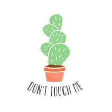 Inspírate para decorar tu habitación. 150 Ideas De Dibujos De Cactus Cactus Dibujo Dibujos Cactus