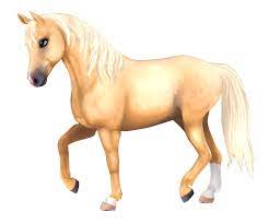 We did not find results for: Kostenlose Fangrafiken Herunterladen Star Stable